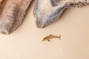 Vaquita (Dolphin) Brooch